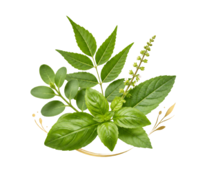 Warisan Ayurvedic